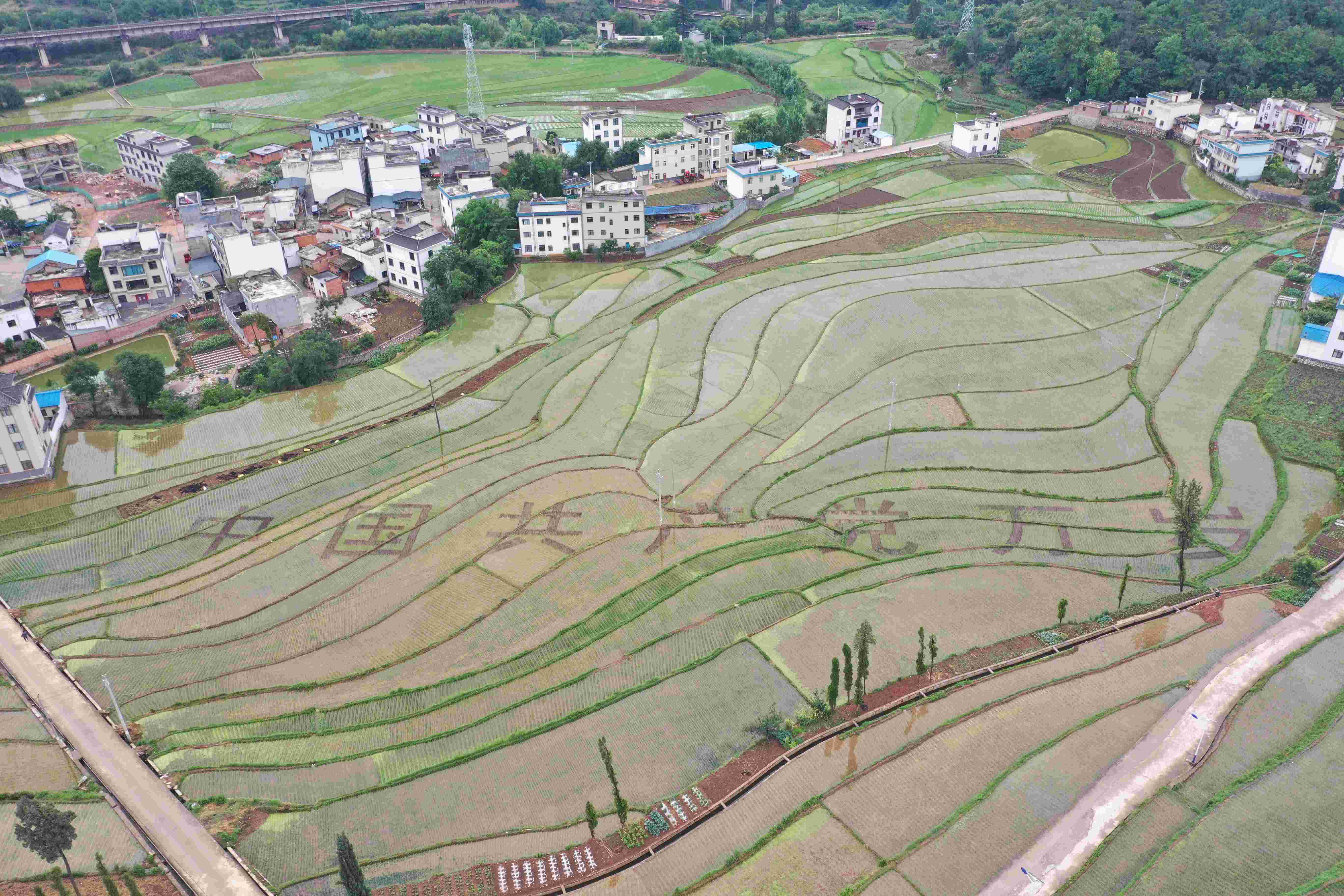 振兴(1)(1).jpg