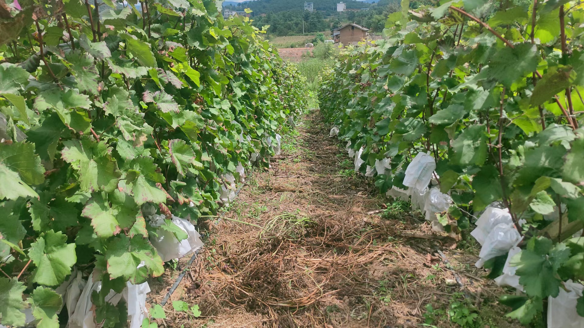 微信图片_20210915165250.jpg